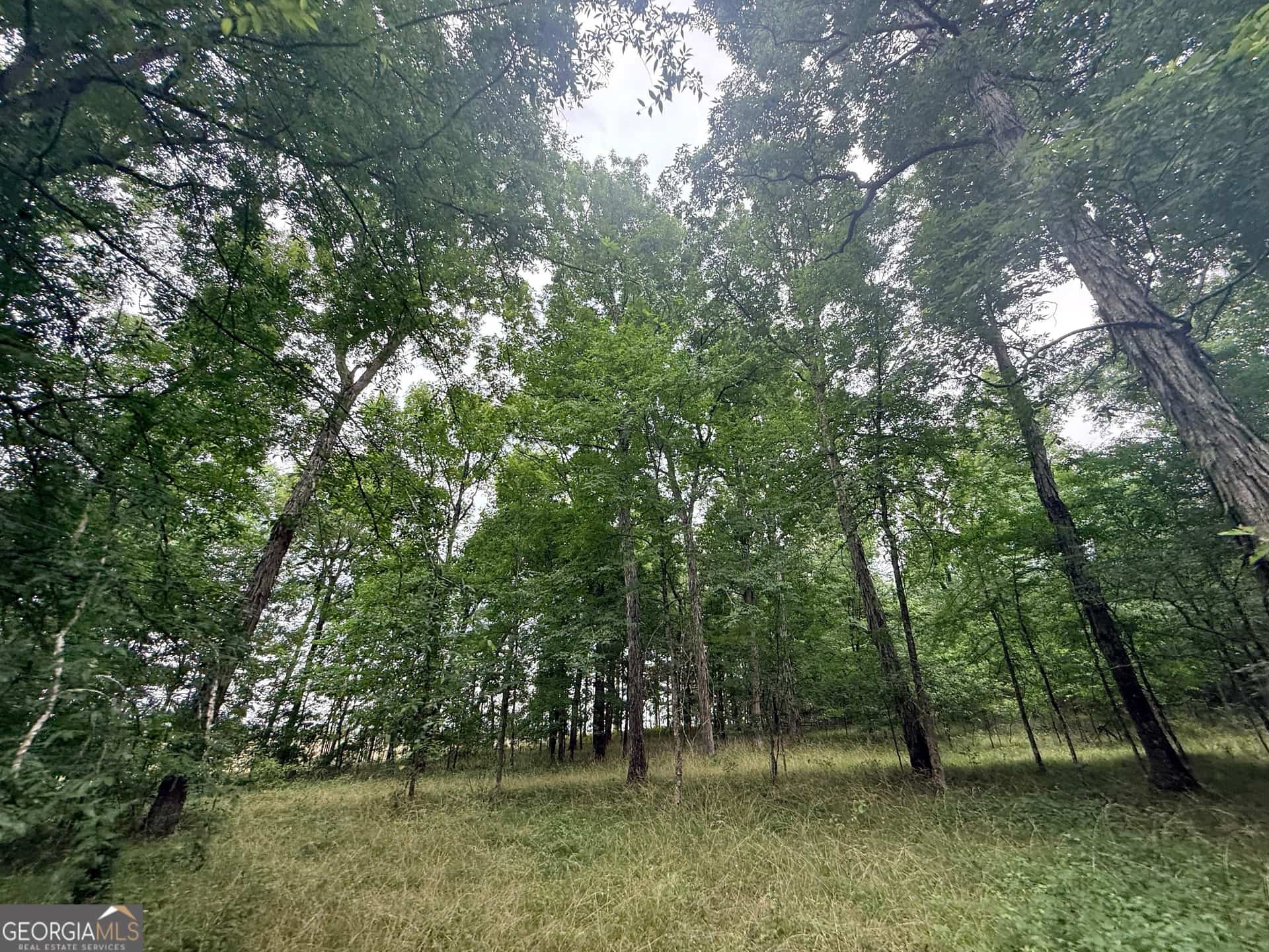 1 Bethesda Church RD, Lexington, GA 30648