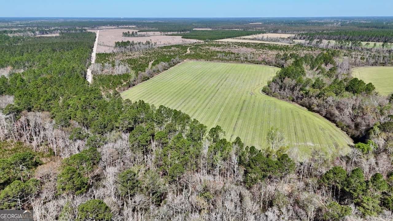 TRACT 6 Ingram RD, Odum, GA 31555