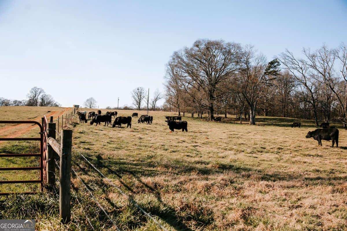0 Ralph Bridges RD, Lexington, GA 30648