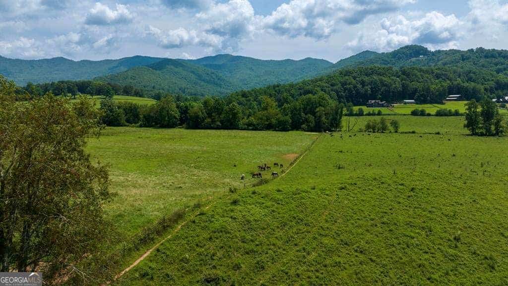 51.20 AC Bethabara RD, Hayesville, NC 28904
