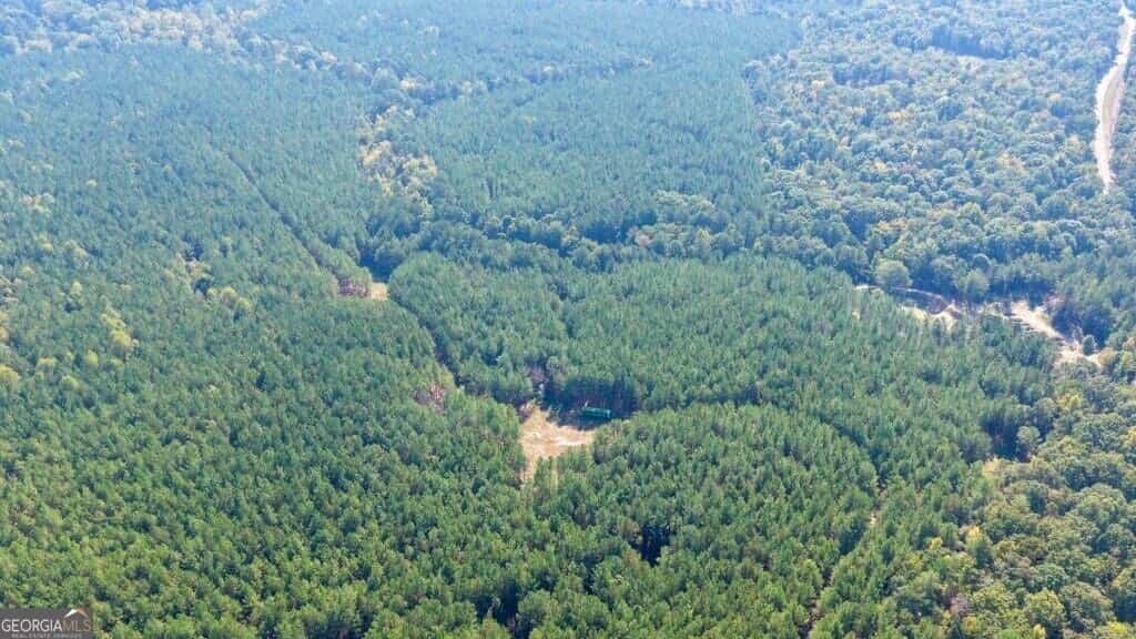 0 Hwy 220 & Salem Church RD, Lincolnton, GA 30817