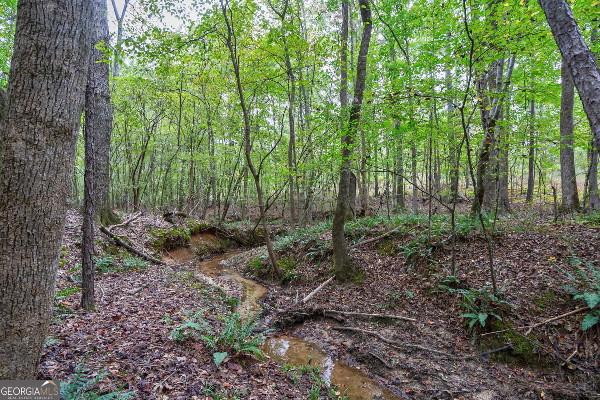 0 Lower Wirebridge RD, Stephens, GA 30667
