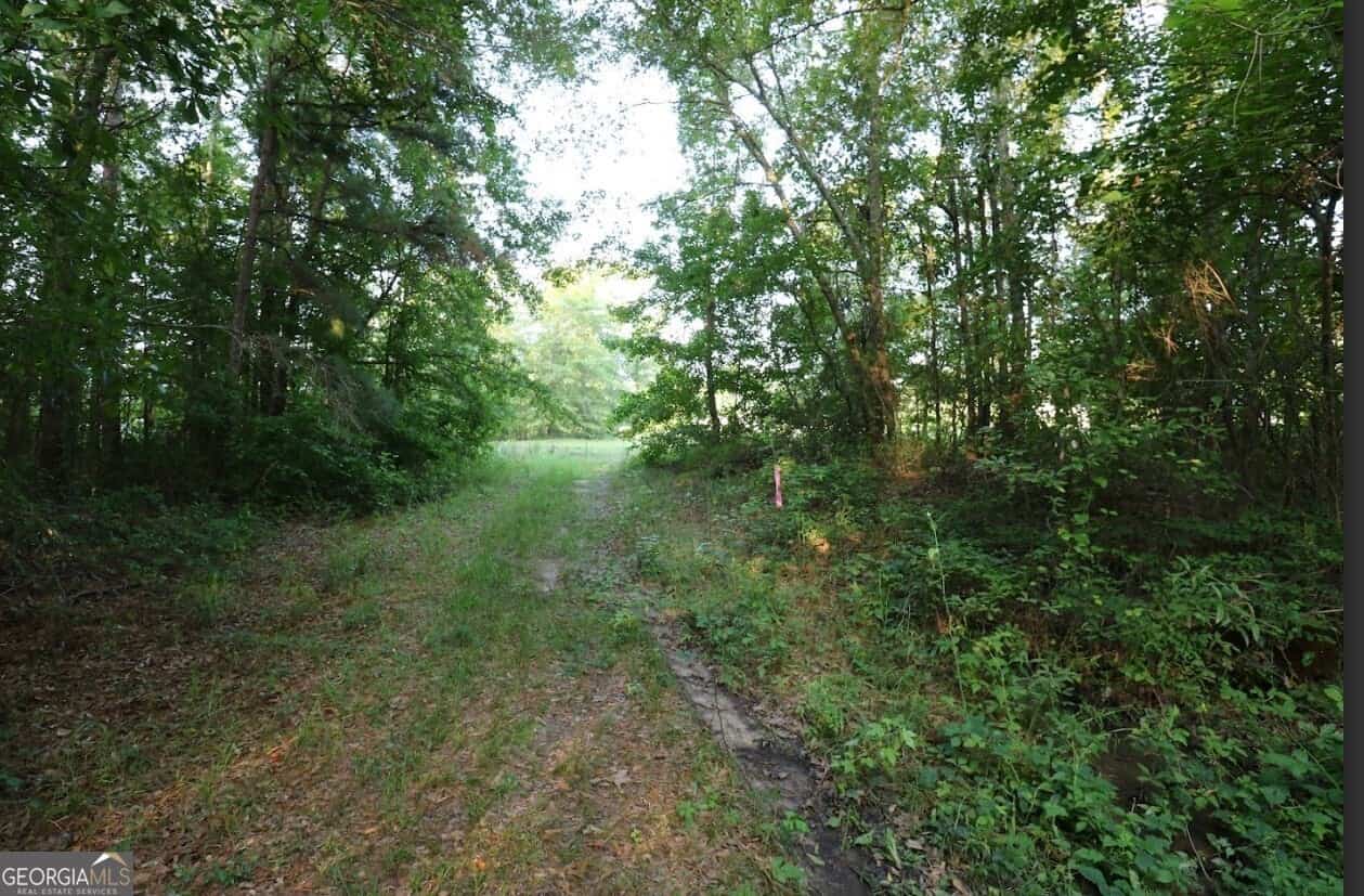 Listing photo 6