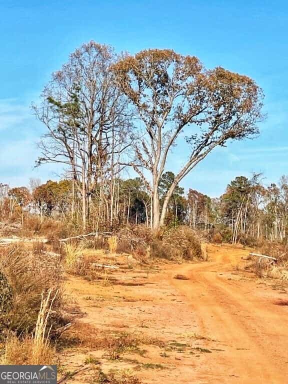 0 Fullerton-Phillips & Greer RD, Hillsboro, GA 31038