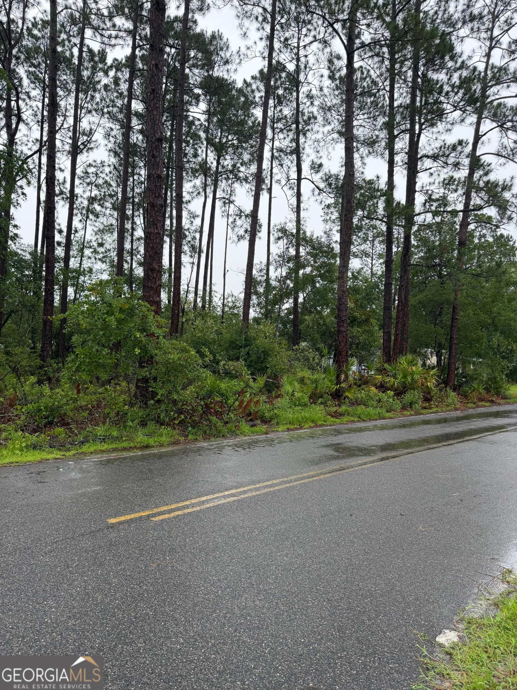 .30 Gibson ST, Nahunta, GA 31553