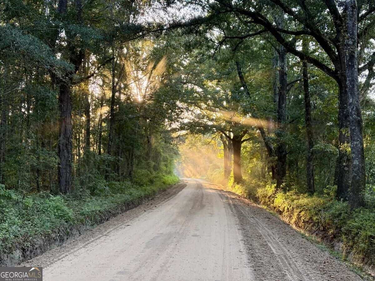 0 Old Moore RD 5 #5, Portal, GA 30450