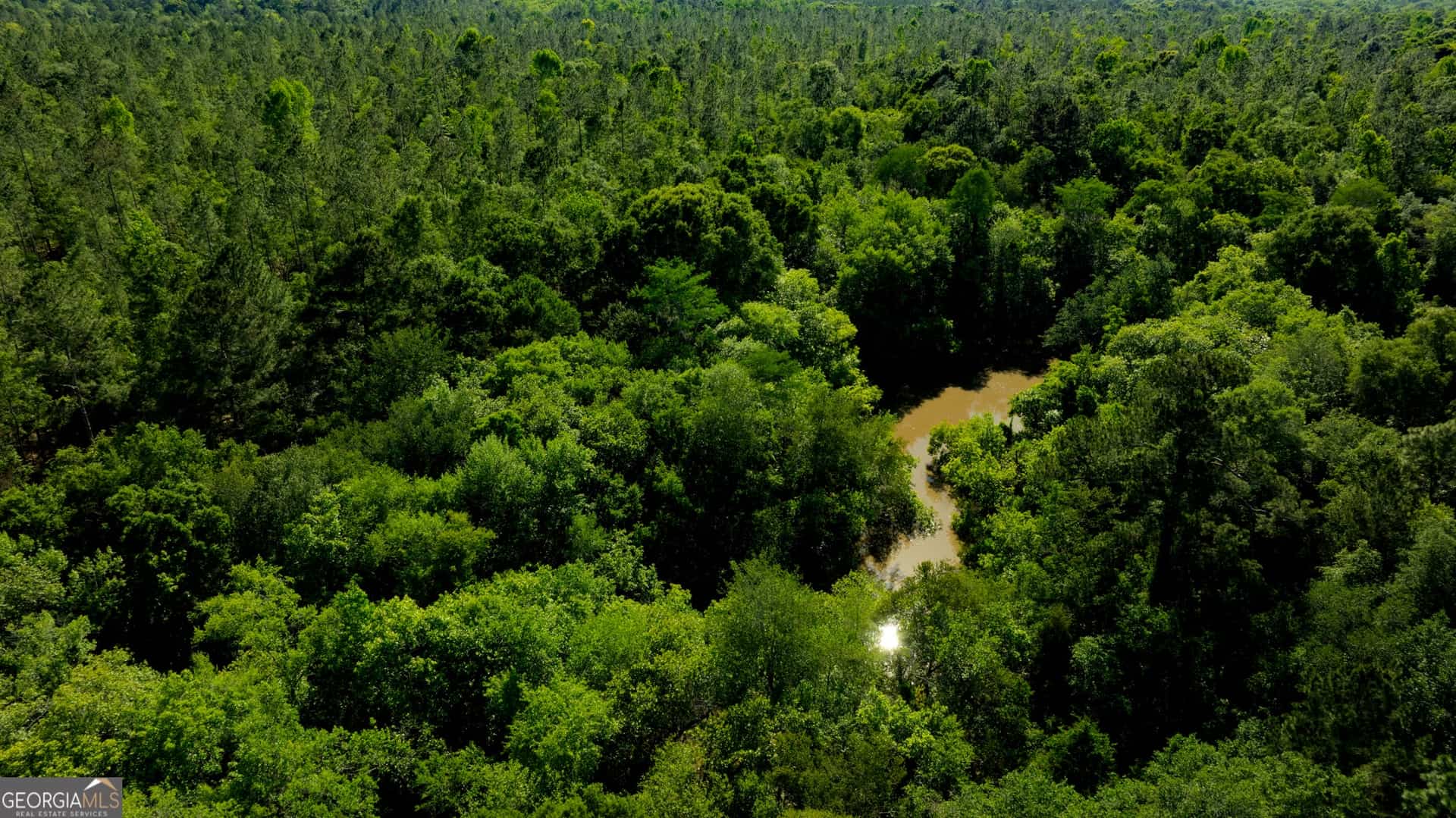 0 Robinson RD, Baconton, GA 31716