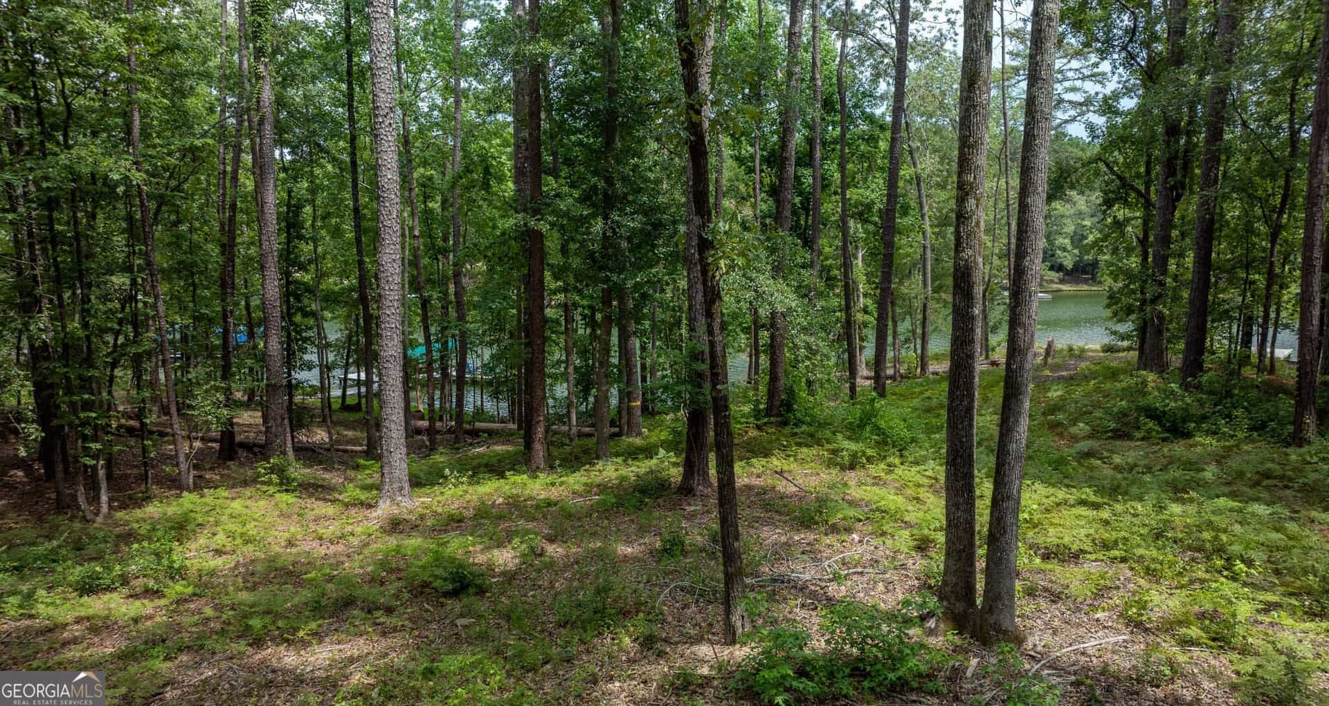 Listing photo 6
