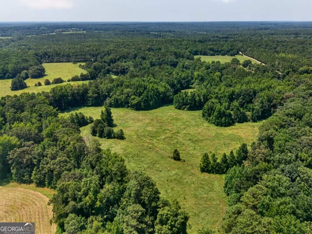 1744 Alexander RD, Monticello, GA 31064