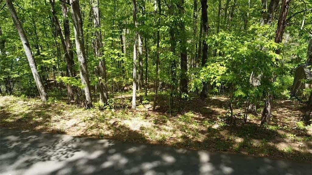 110 Honeysuckle Drive, Cumming, GA 30040