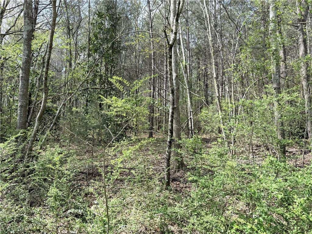 Listing photo 6
