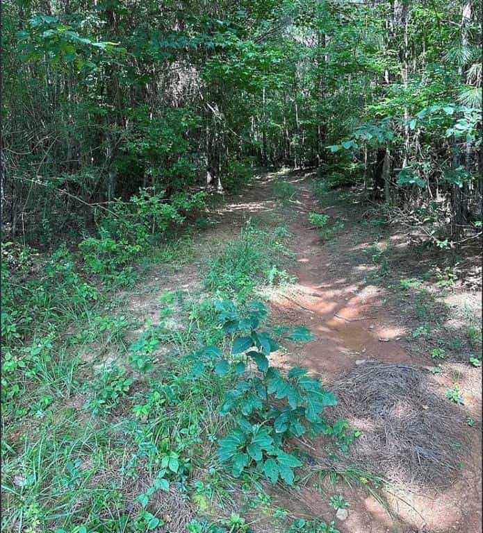 Listing photo 6