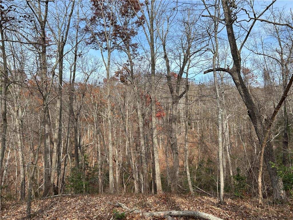 0 Hwy 105, Baldwin, GA 30511
