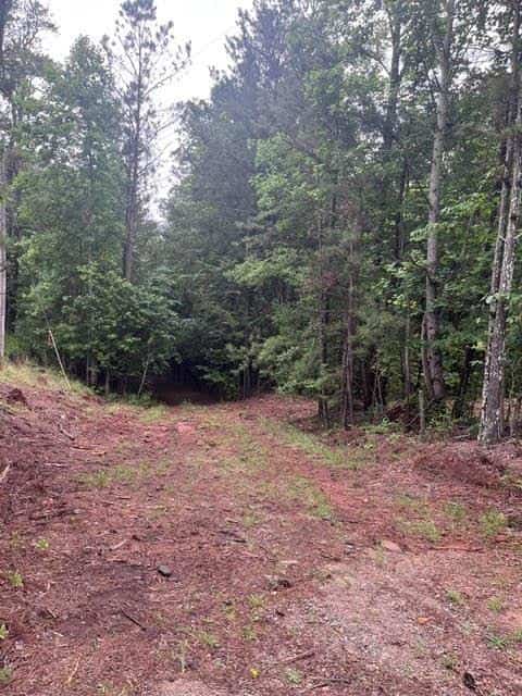 0 Dobbs Mountain Road, Winston, GA 30187