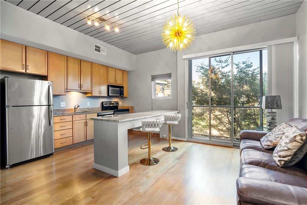 620 Glen Iris Drive NE 205 #205, Atlanta, GA 30308