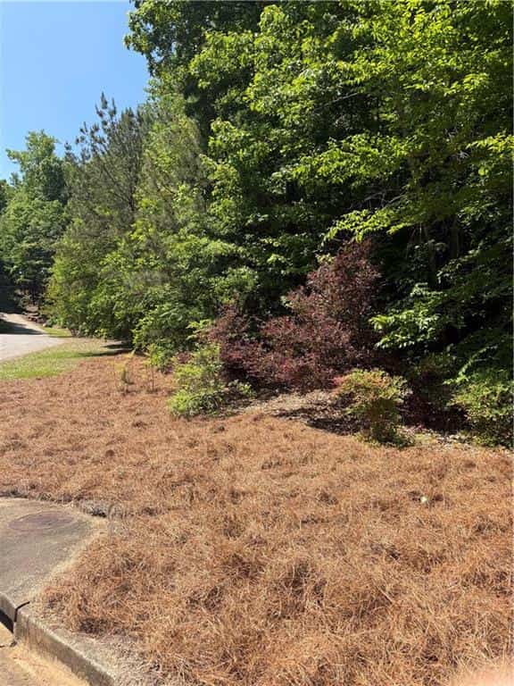 702 Windsor Estates Way, Canton, GA 30115