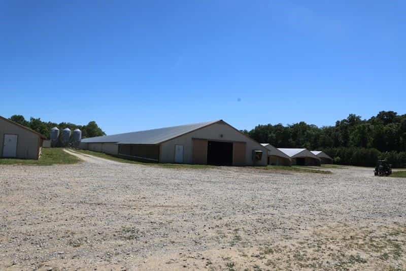Listing photo 6