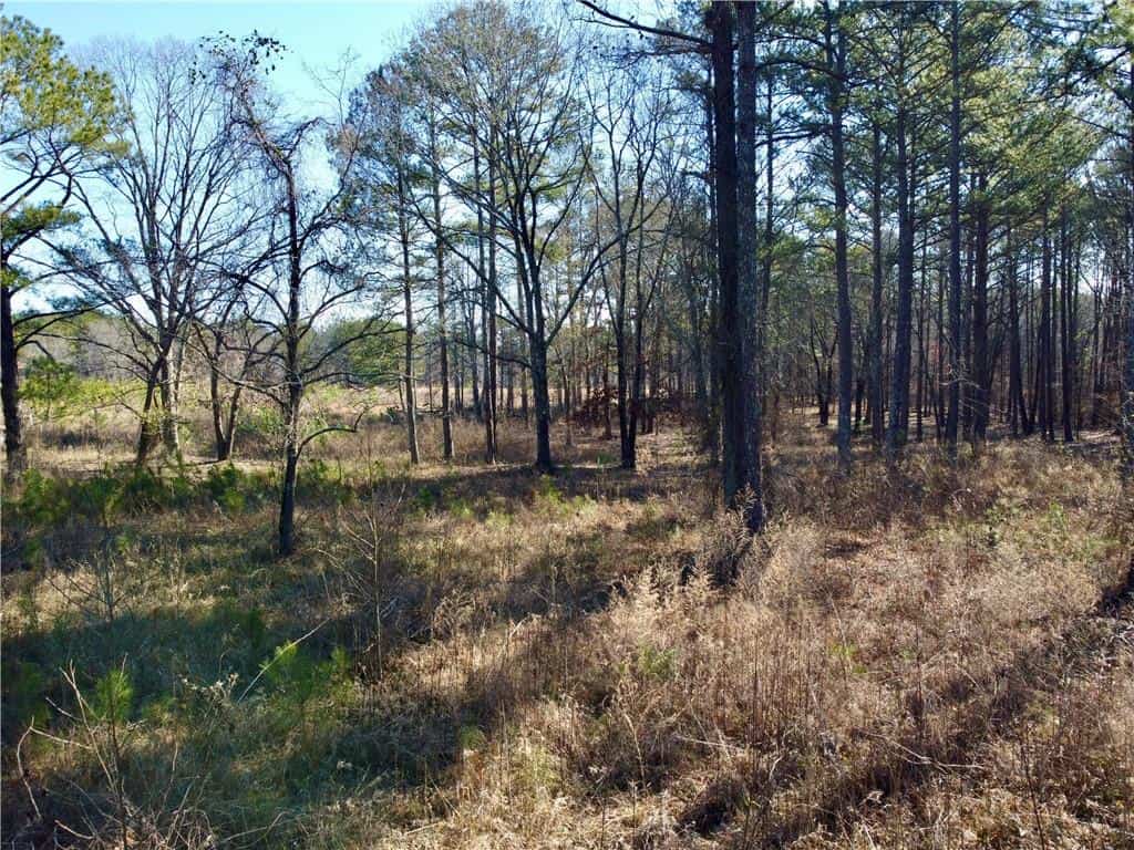 Listing photo 6