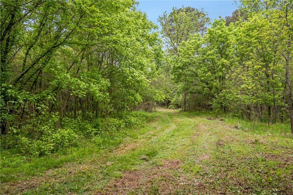 Listing photo 6
