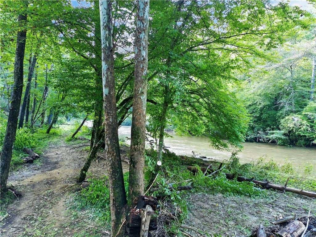 Listing photo 6