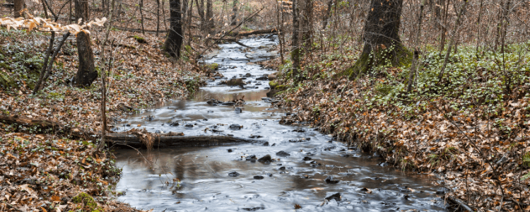 Chattahoochee River National Recreation Area