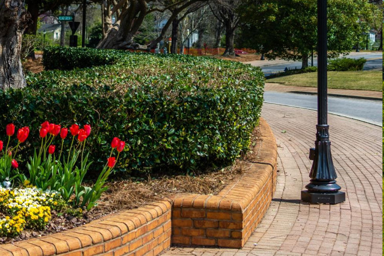 Centennial Park